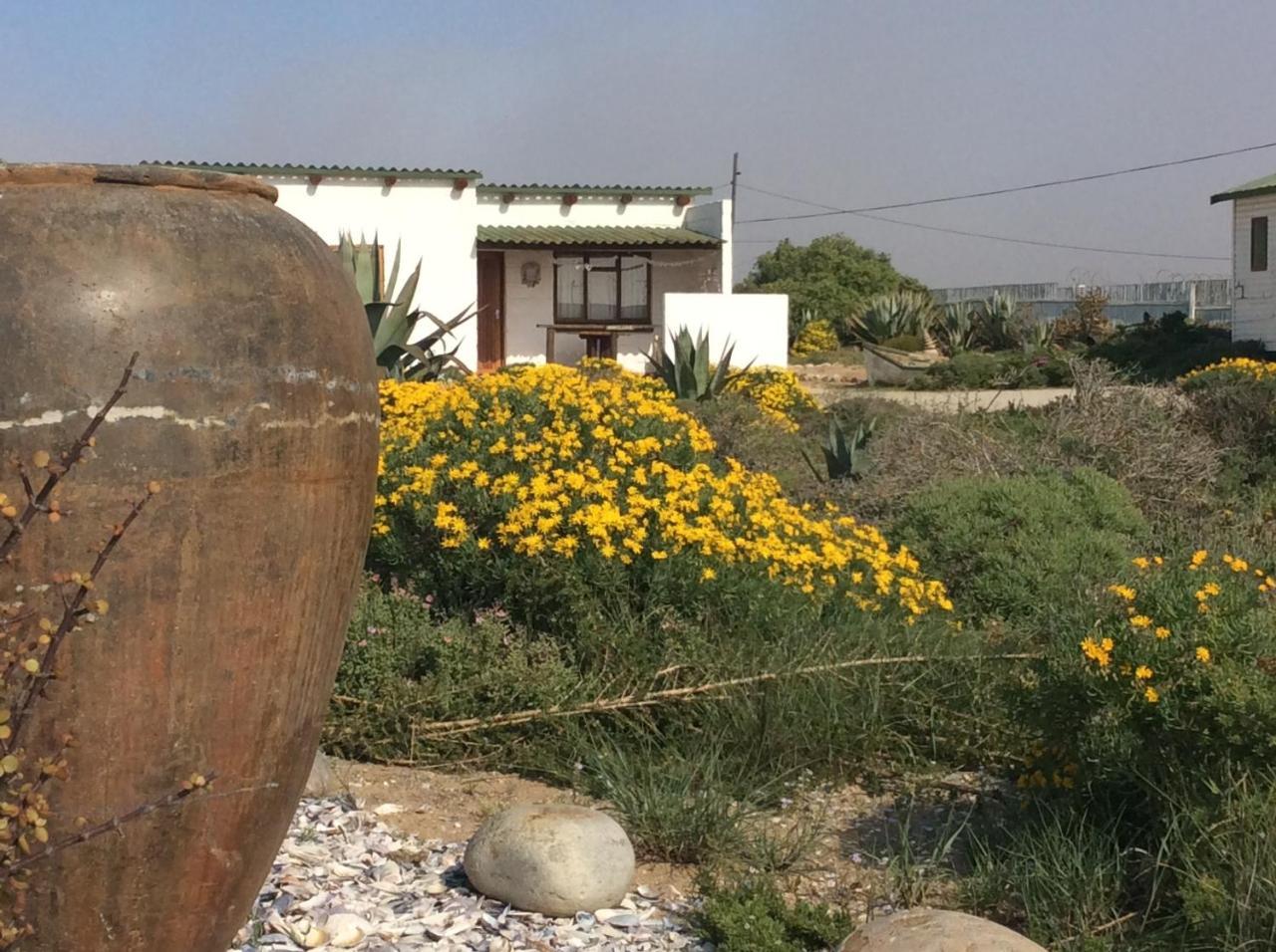 Honnehokke Resort Hondeklipbaai Eksteriør billede