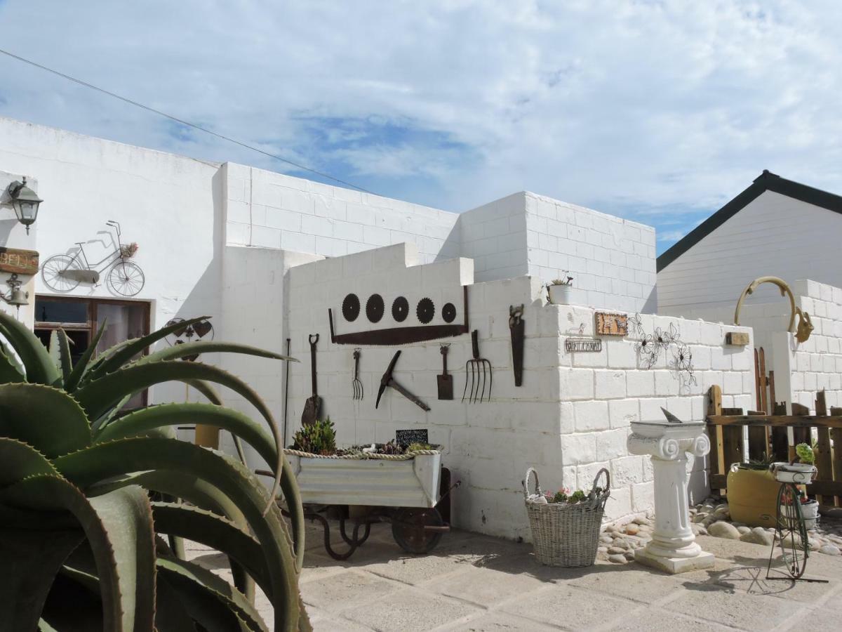 Honnehokke Resort Hondeklipbaai Eksteriør billede