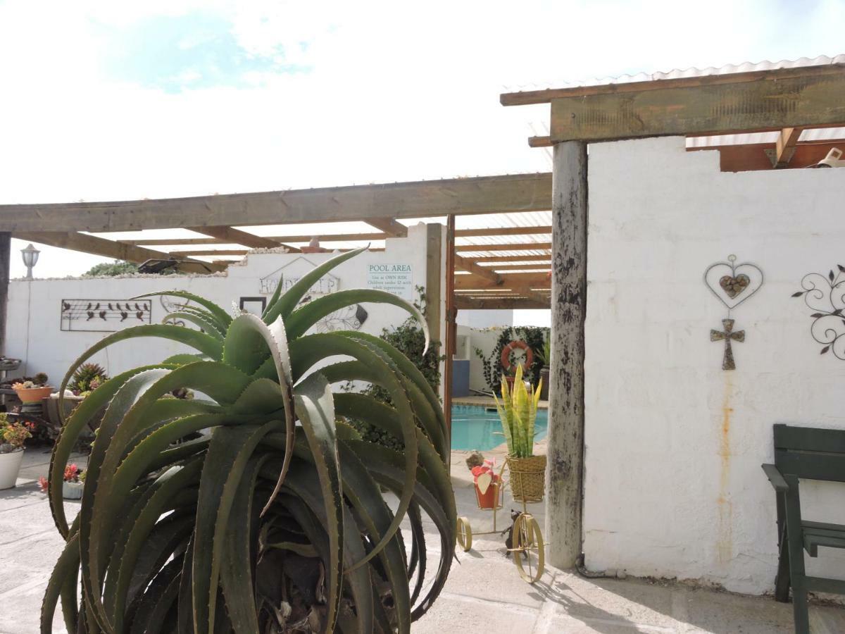 Honnehokke Resort Hondeklipbaai Eksteriør billede