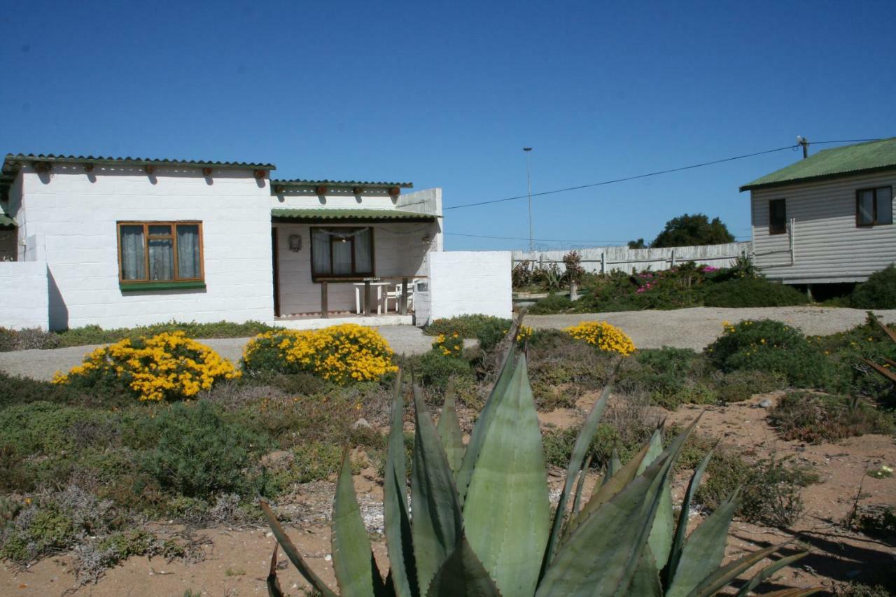 Honnehokke Resort Hondeklipbaai Eksteriør billede